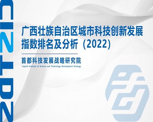 干叉日逼逼逼逼逼逼【成果发布】广西壮族自治区城市科技创新发展指数排名及分析（2022）